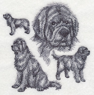Newfoundland Sketch - Image 4