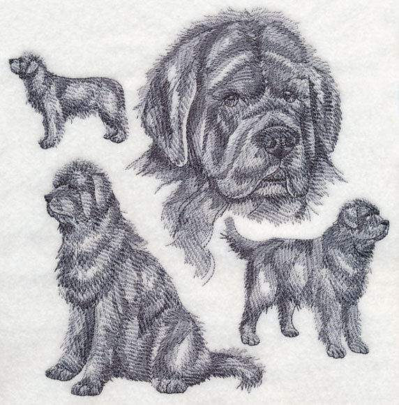 Newfoundland Sketch - Image 5