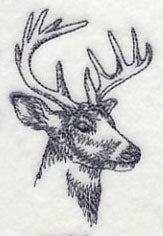 Northwoods Deer Head - Image 2