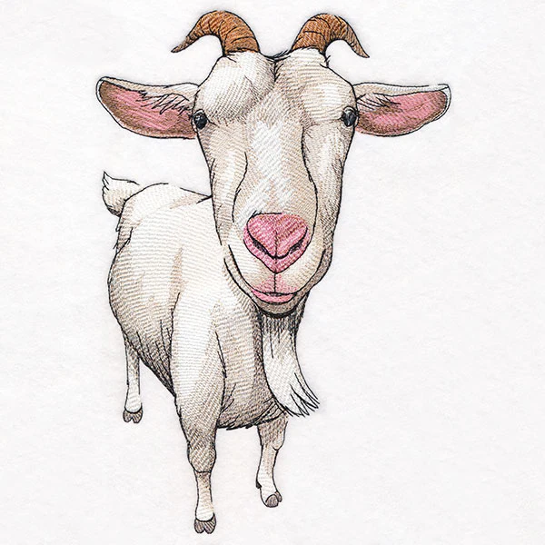 Nosey Goat