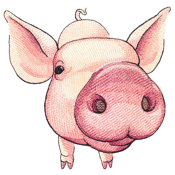 Nosey Pig - Image 5