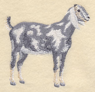 Nubian Goat 2 - Image 3