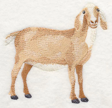 Nubian Goat 3 - Image 2