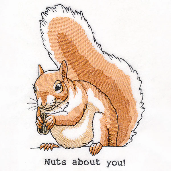Nuts About You Squirrel - Image 4