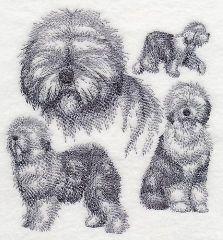 Old English Sheepdog Sketch - Image 2
