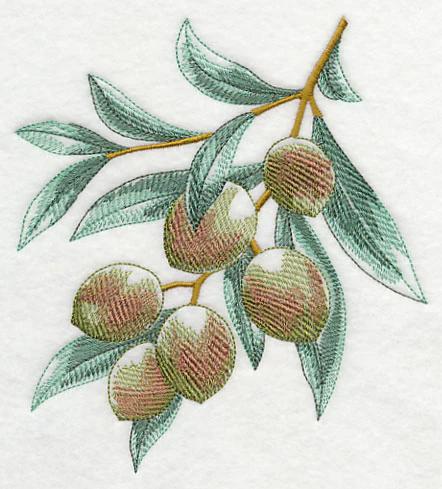 Olives Sketch - Image 2
