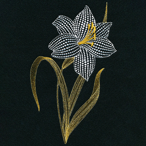 On Point Lily - Image 3