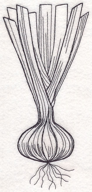 Onion Etching