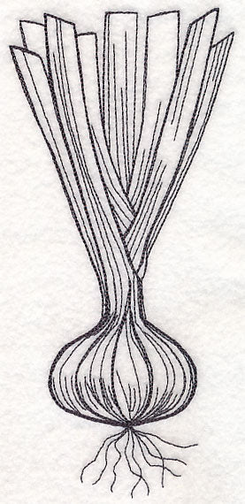 Onion Etching - Image 2