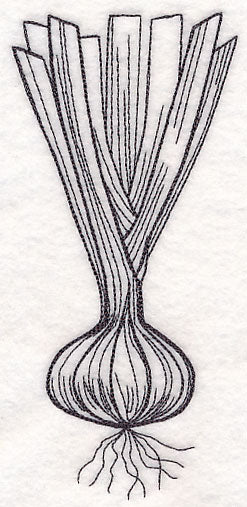 Onion Etching - Image 4