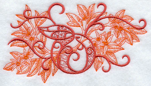 Orange and Blossom Echo in Bloom - Image 2