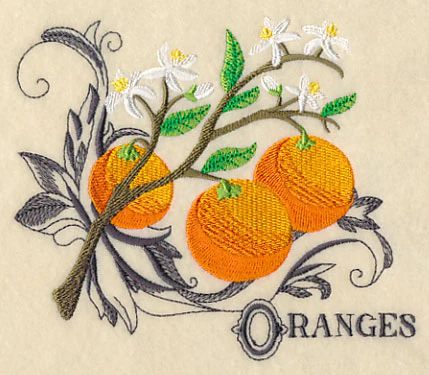 Oranges and Baroque Flourish - Image 3