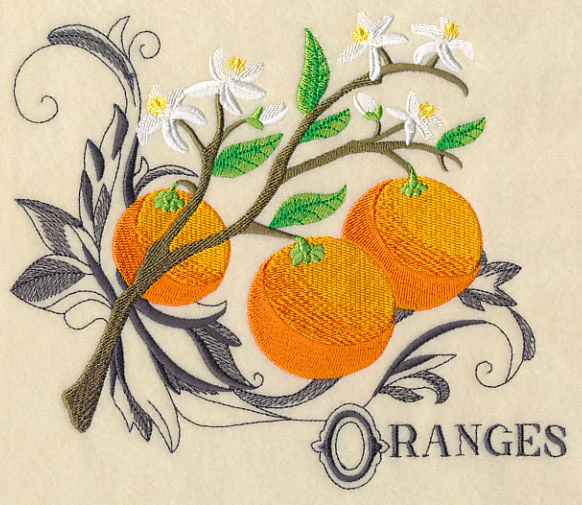 Oranges and Baroque Flourish - Image 4