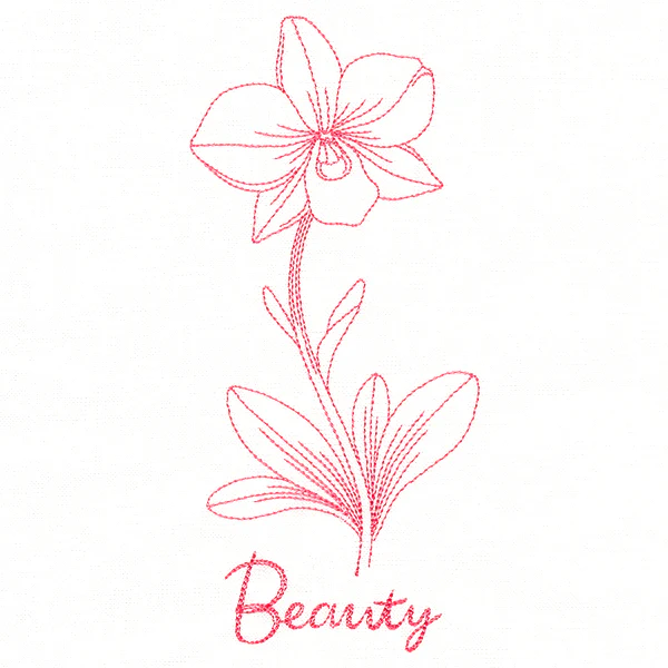 Orchids of Beauty (Vintage)