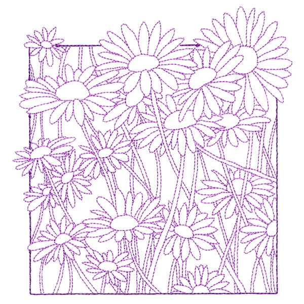 Outside the Box Blooms - Daisies - Image 3