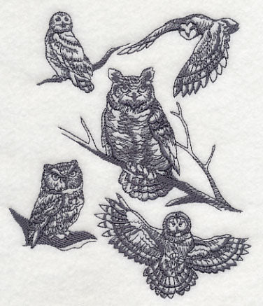 Owl Wisdom - Image 3