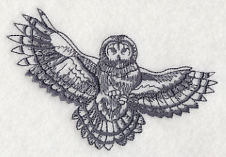 Owl Wisdom - Barred Owl - Image 3