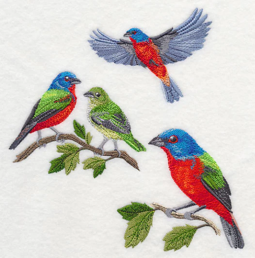 Painted Bunting Collage - Image 3