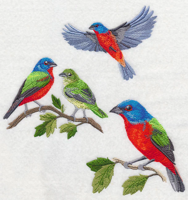 Painted Bunting Collage - Image 6