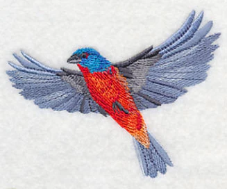 Painted Bunting in Flight - Image 3