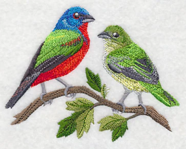 Painted Bunting Pair - Image 3