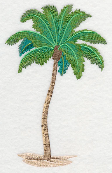 Palm Tree Oasis - Image 3