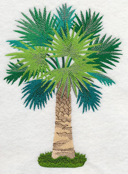 Palmetto - Image 2