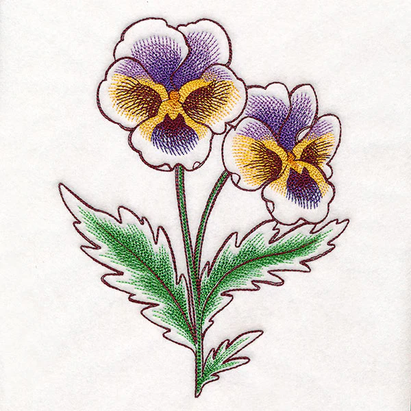 Pansy in Bloom - Image 2