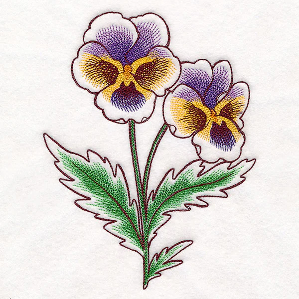 Pansy in Bloom - Image 3