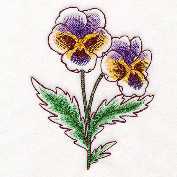 Pansy in Bloom - Image 4