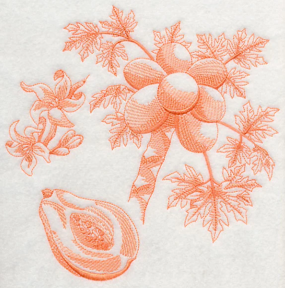 Papaya Botanical (Toile) - Image 6
