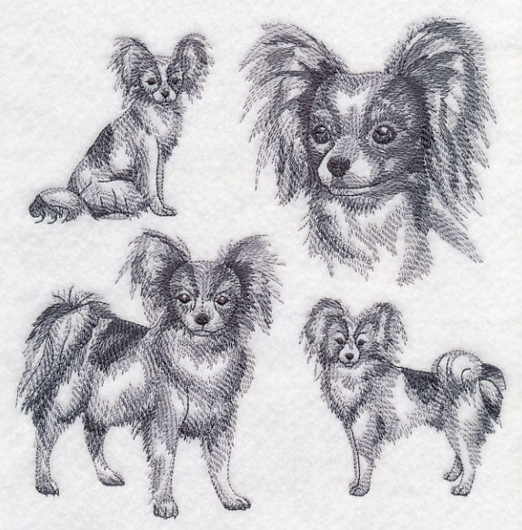 Papillon Sketch - Image 5