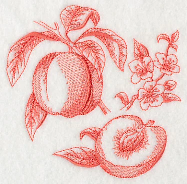 Peach Botanical (Toile) - Image 4