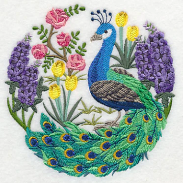 Peacock Scene - Image 5