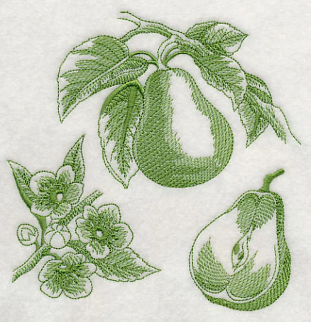 Pear Botanical (Toile) - Image 3