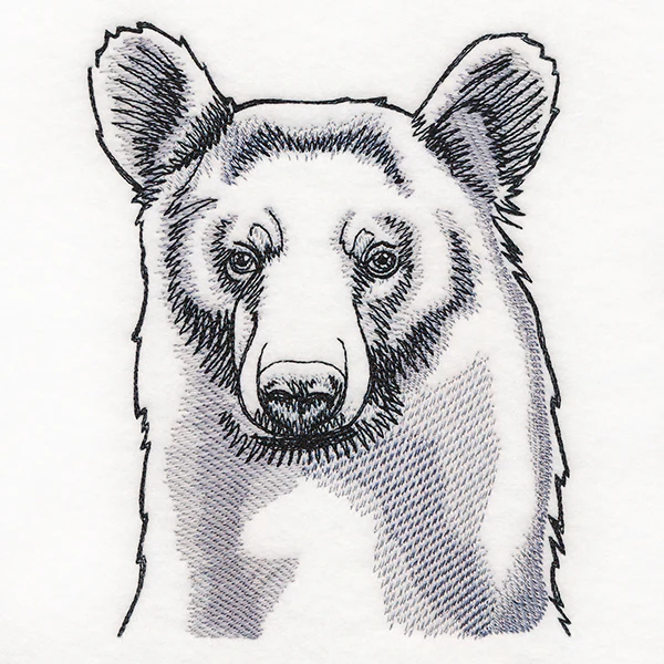 Peeking Bear Etching - Image 3