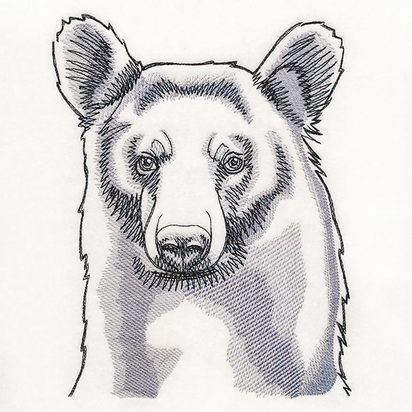Peeking Bear Etching - Image 5