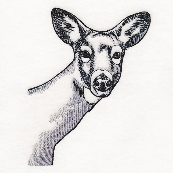 Peeking Deer Etching - Image 3