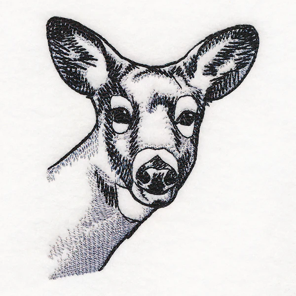 Peeking Deer Etching - Image 4