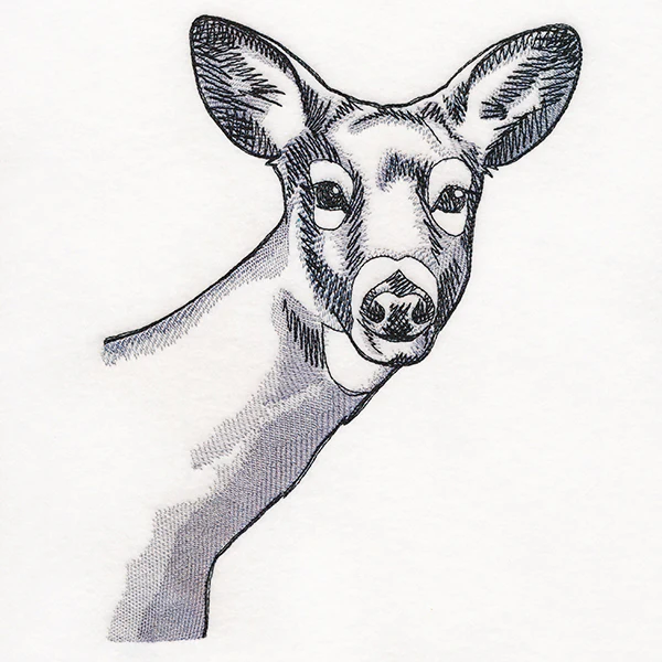 Peeking Deer Etching - Image 5