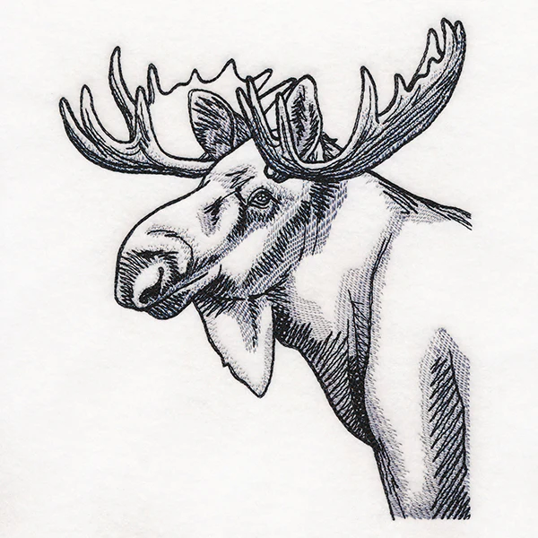 Peeking Moose Etching - Image 2