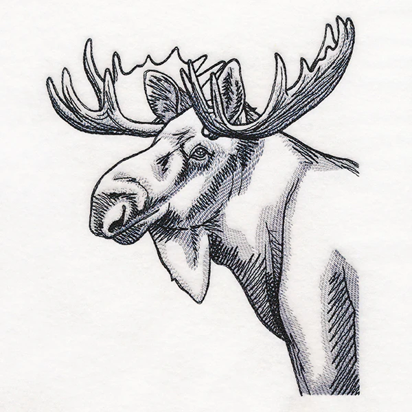 Peeking Moose Etching - Image 5