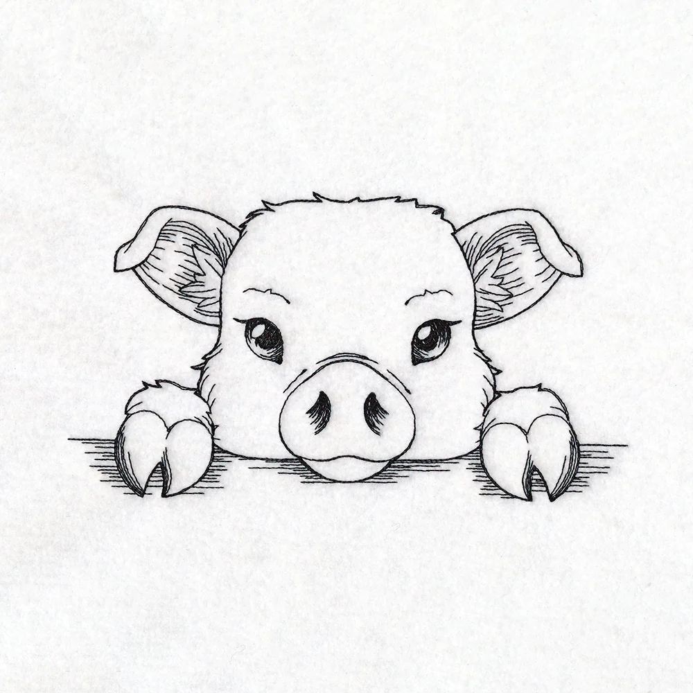 Peeking Pig Sketch - Image 3