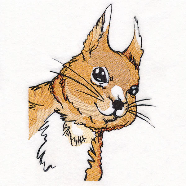 Peeking Red Squirrel - Image 3