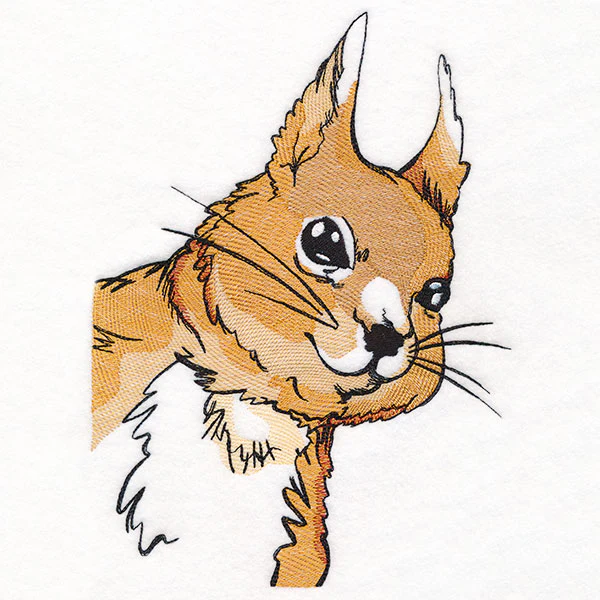 Peeking Red Squirrel - Image 7