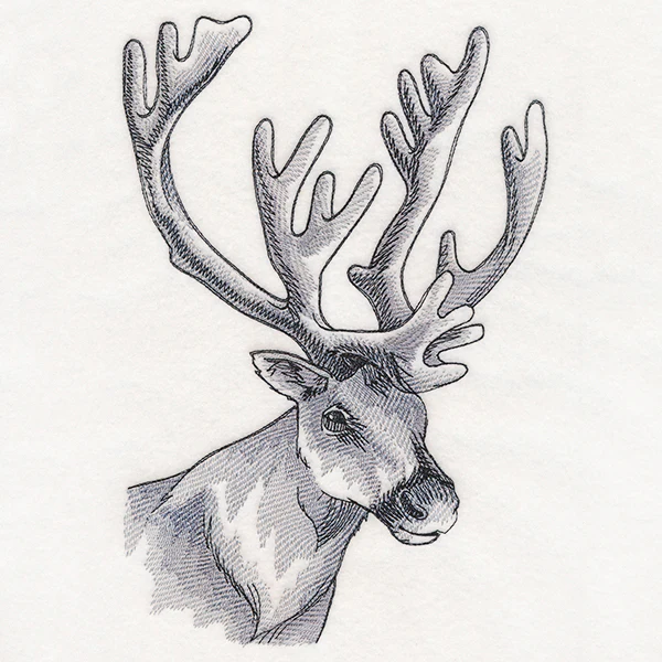 Peeking Reindeer Etching