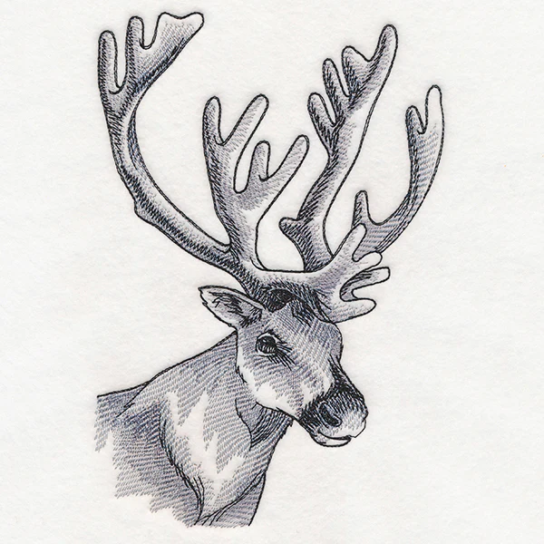 Peeking Reindeer Etching - Image 2