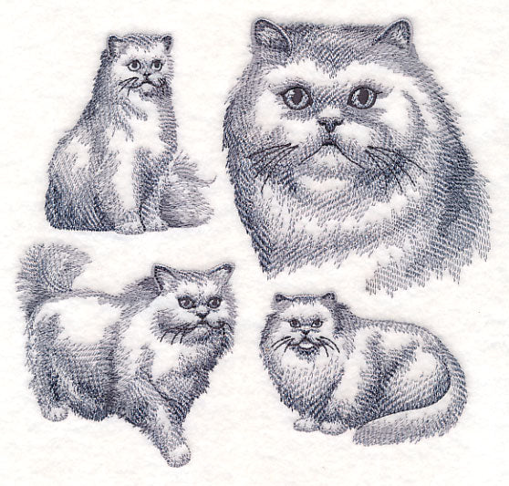 Persian Cat Sketch - Image 4