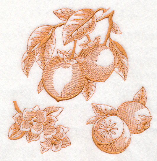 Persimmon Botanical (Toile) - Image 2