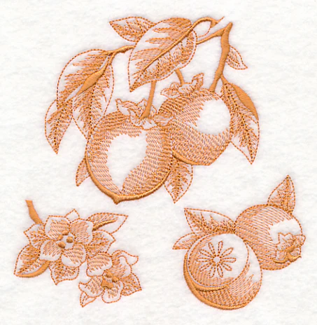 Persimmon Botanical (Toile) - Image 3